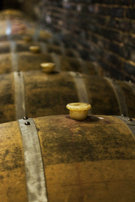 Free Image: Oak Wine Barrels | Libreshot Free Fine Art Photos